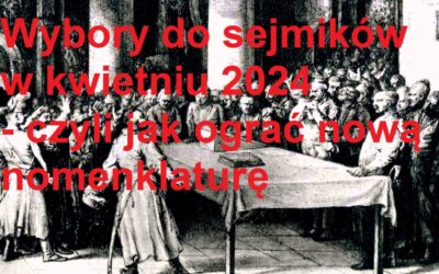 Wybory do sejmików wojewódzkich – jak ograć nową nomenklaturę
