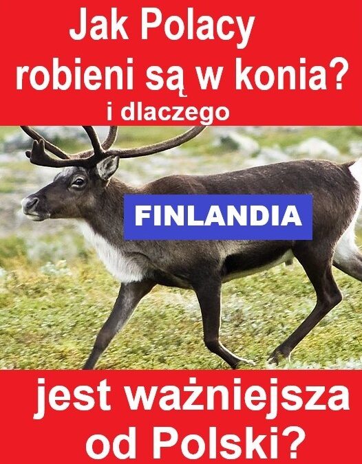 Jak Polacy są okradani i dlaczego FINLANDIA jest lepsza od ŻUBRÓWKI