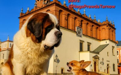 Czym się różni Jakub Kwaśny od Ludwika Erharda?